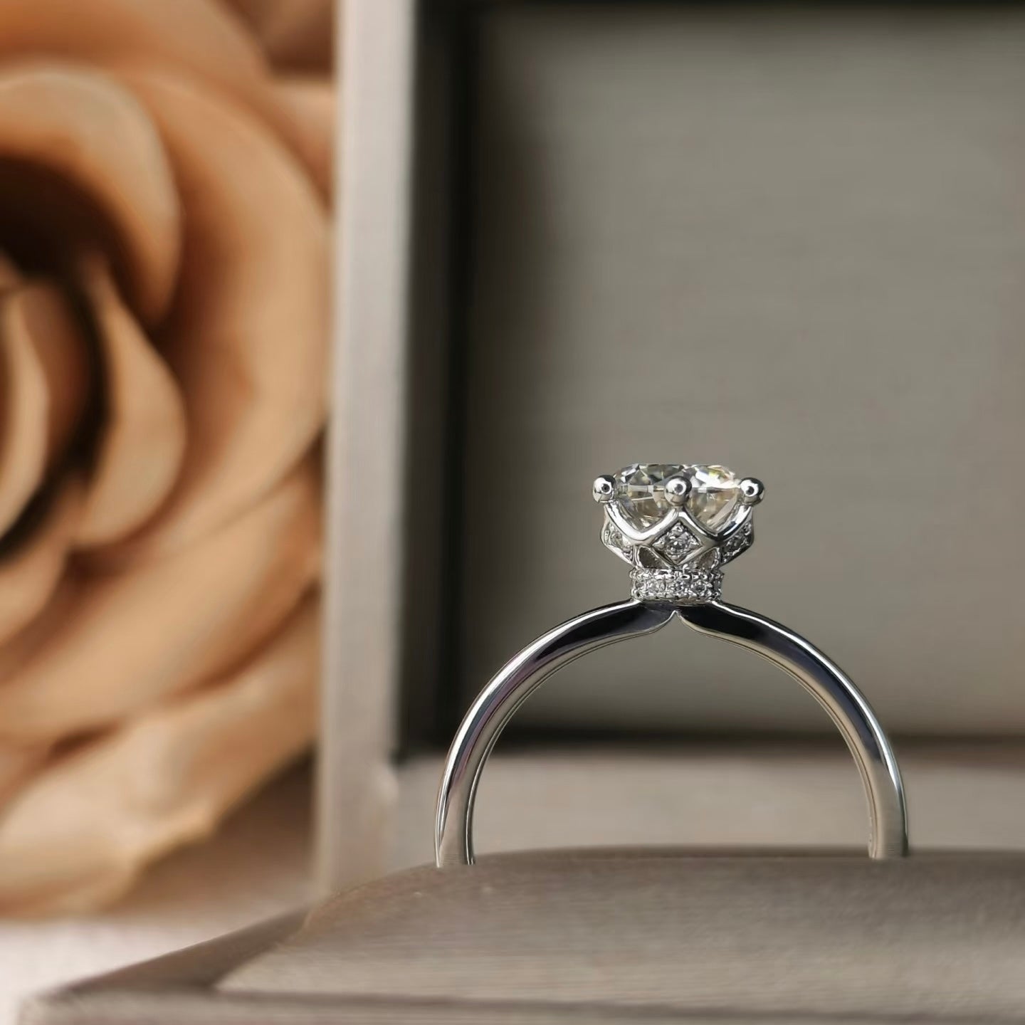 Lab Grown Solitaire Diamond Ring in 18K Gold or PT950